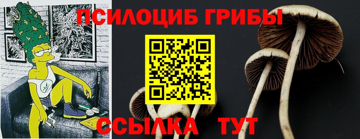 где купить наркотик  Псилоцибиновые грибы MAGIC MUSHROOMS  Галлюциногенные грибы мицелий  Вход с VPN  Иркутск 